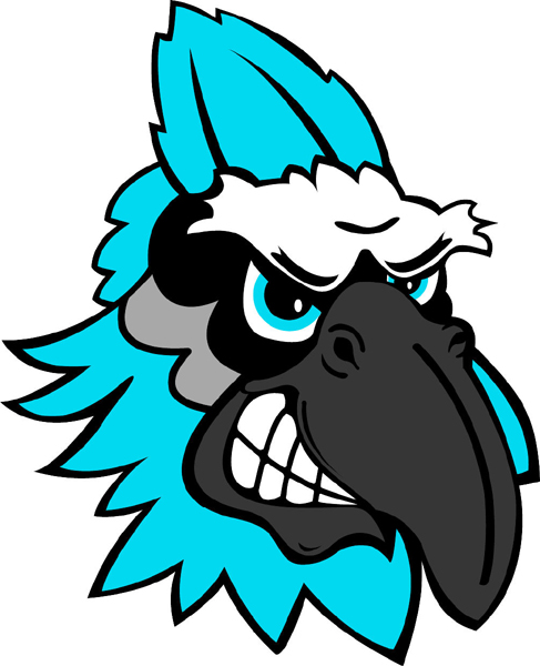 Blue Jay team mascot color vinyl sports decal. Customize on line. Blue Jay  Head 3